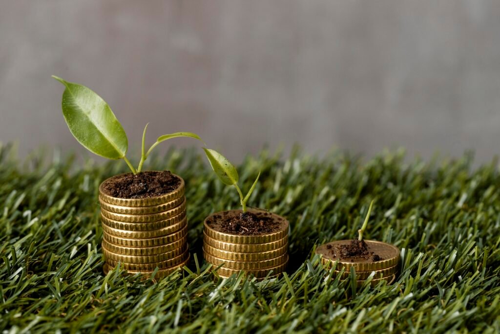 high-angle-three-stacks-coins-grass-with-plants-dirt